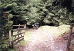 Falscher Weg zur Sattelalm